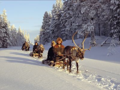 Schlittenfahrt mit Rentieren in Lappland.