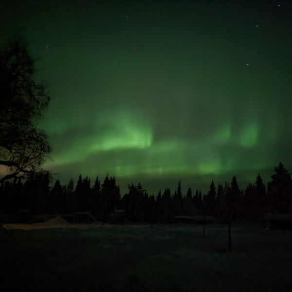 Familienurlaub in Schwedens Lappland - Winterabenteuer am Polarkreis