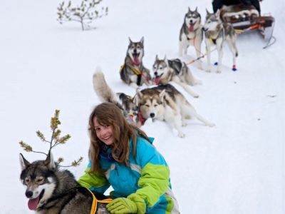 Hundeschlittentour in Schwedisch Lappland.
