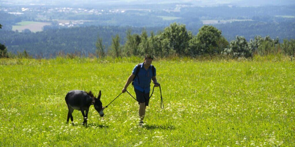 Nachhaltige Eselwanderung in Deutschland