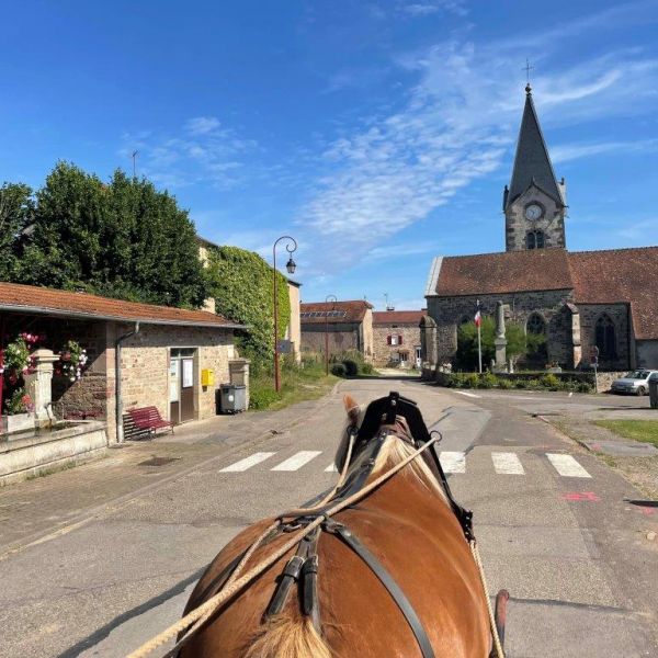 Planwagen-Urlaub in den Vogesen - Frankreich