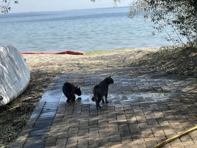 umweltfreundlicher urlaub in der natur am meer