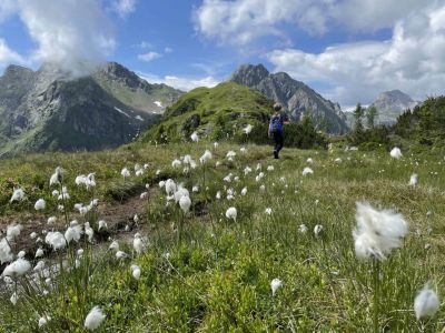 familienurlaub alm alpen wandern oesterreich