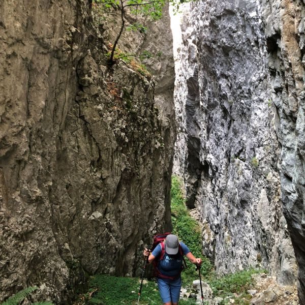 Wandern ohne Gepck in Montenegro: von Alm zu Alm im Nationalpark Bjelasica/Mokra Gebirge 