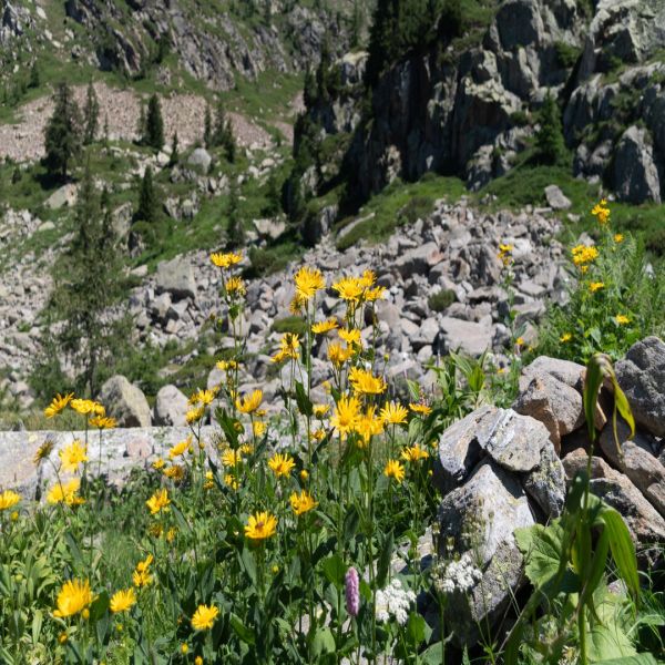 Bergwandern ohne Gepck im Valle del Lys - Aostatal