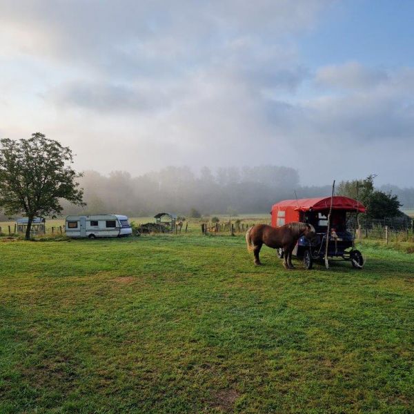 Planwagen-Urlaub in den Vogesen - Frankreich