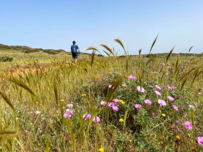 wanderurlaub gepaecktransport suedportugal wanderer blumen