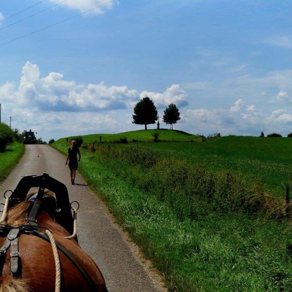 Planwagen-Urlaub in den Vogesen - Frankreich