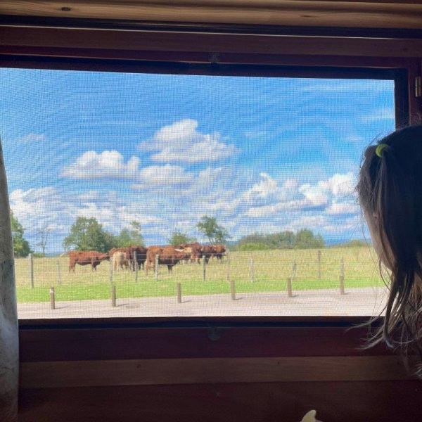 Planwagen-Urlaub in den Vogesen - Frankreich