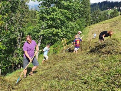 heuernte familienurlaub bauernhof oesterreich