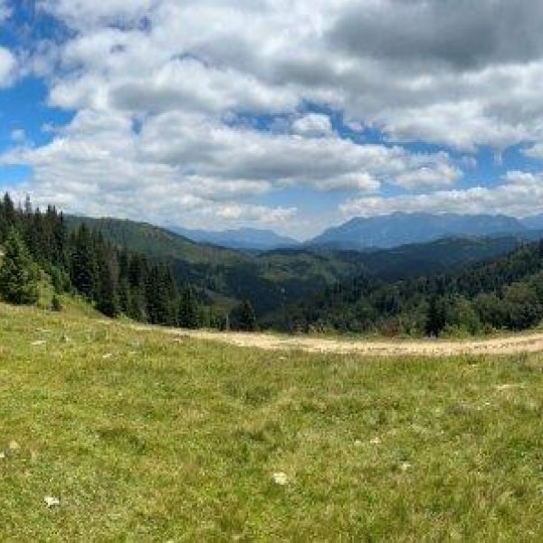 Wandern ohne Gepck in Montenegro: von Alm zu Alm im Nationalpark Bjelasica/Mokra Gebirge 