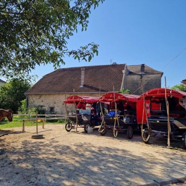 Planwagen-Urlaub in den Vogesen - Frankreich