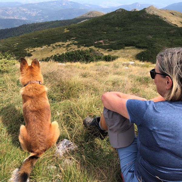 Wandern ohne Gepck in Montenegro: von Alm zu Alm im Nationalpark Bjelasica/Mokra Gebirge 