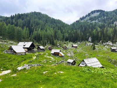 Slowenien Almwirtschaft Httenwanderung Natururlaub Wanderurlaub