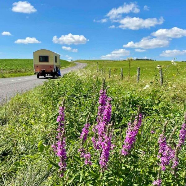 Planwagen-Urlaub in den Vogesen - Frankreich