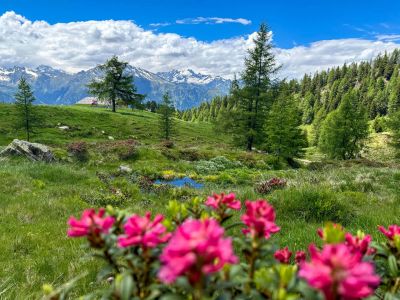 familienwanderung alpenueberquerung passeier tal