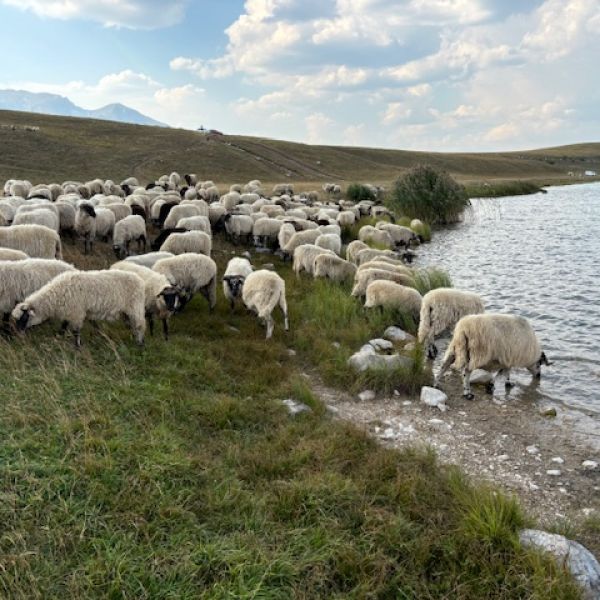 Abenteuer- und Aktivurlaub mit Kindern in Montenegro 