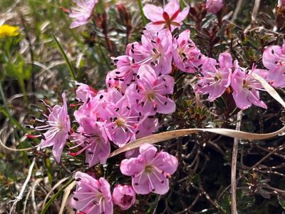 Slowenien Natururlaub Wandern Trekking Triglav Nationalpark