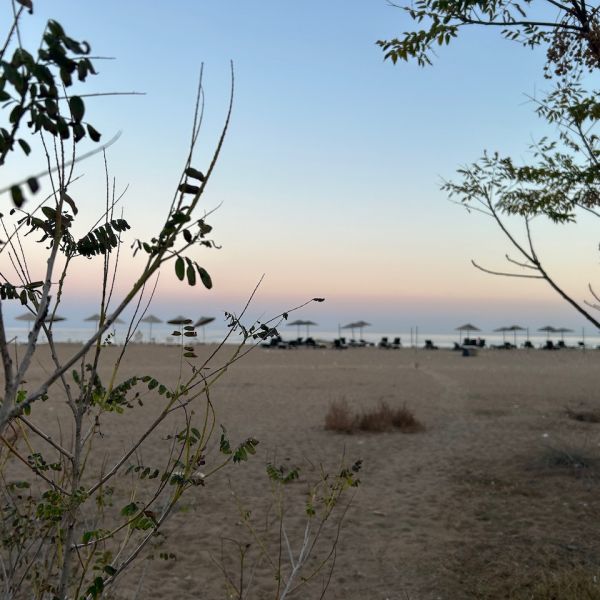 Strandurlaub Trkei: Bungalow im Naturparadies Cirali - Lykien