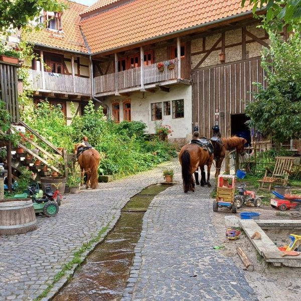 Bio-Pension im Dreilndereck - Niedersachsen