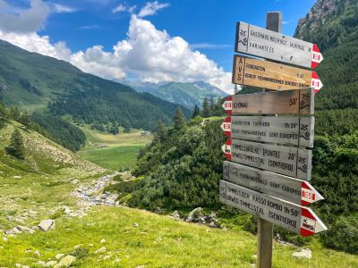 alpenueberquerung wegweiser almwege