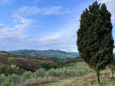 toskana natururlaub val di cecina